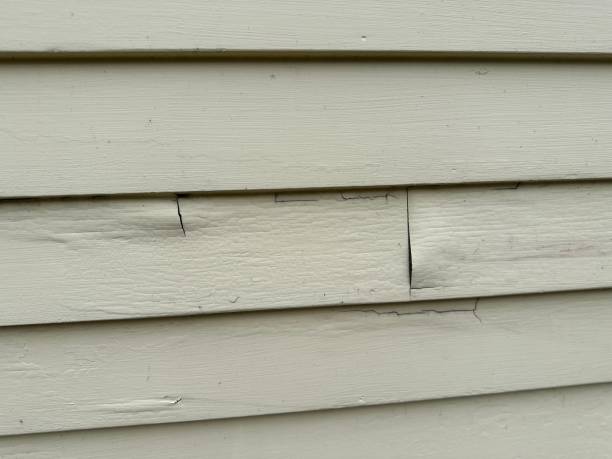 Affordable siding repair and maintenance services in Mequon, WI